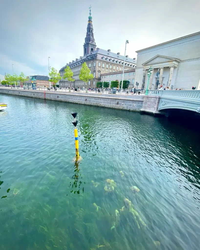 Agnete and Merman sculptures inside the water 