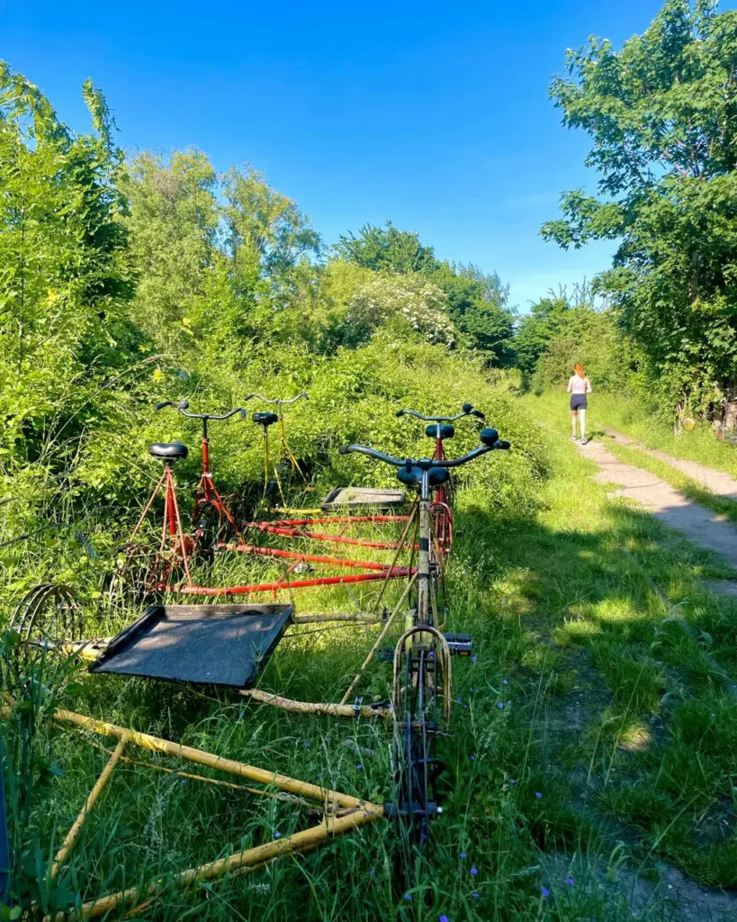 Cycles on the track of the Amagerbanensvenner