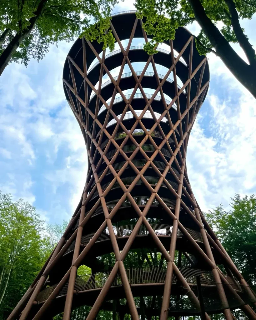 Forest tower full view