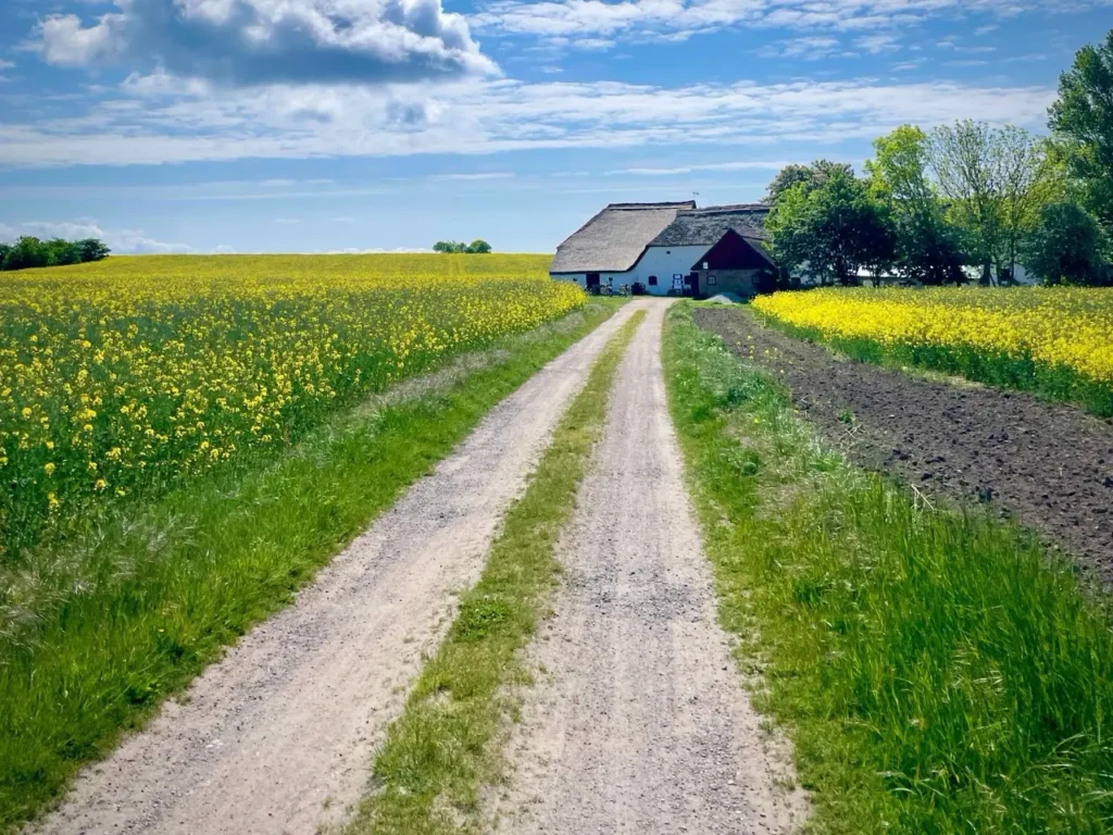 Scenic farm fields at Hven Island Sweden